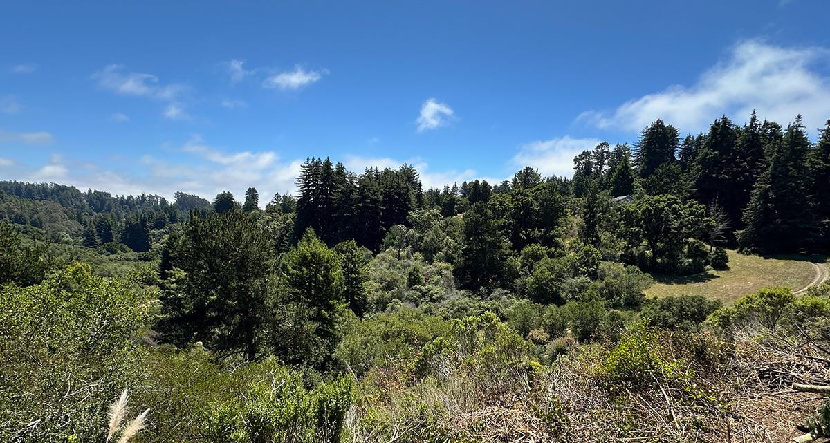 Detail Gallery Image 47 of 52 For 5601 Freedom Blvd, Aptos,  CA 95003 - – Beds | – Baths