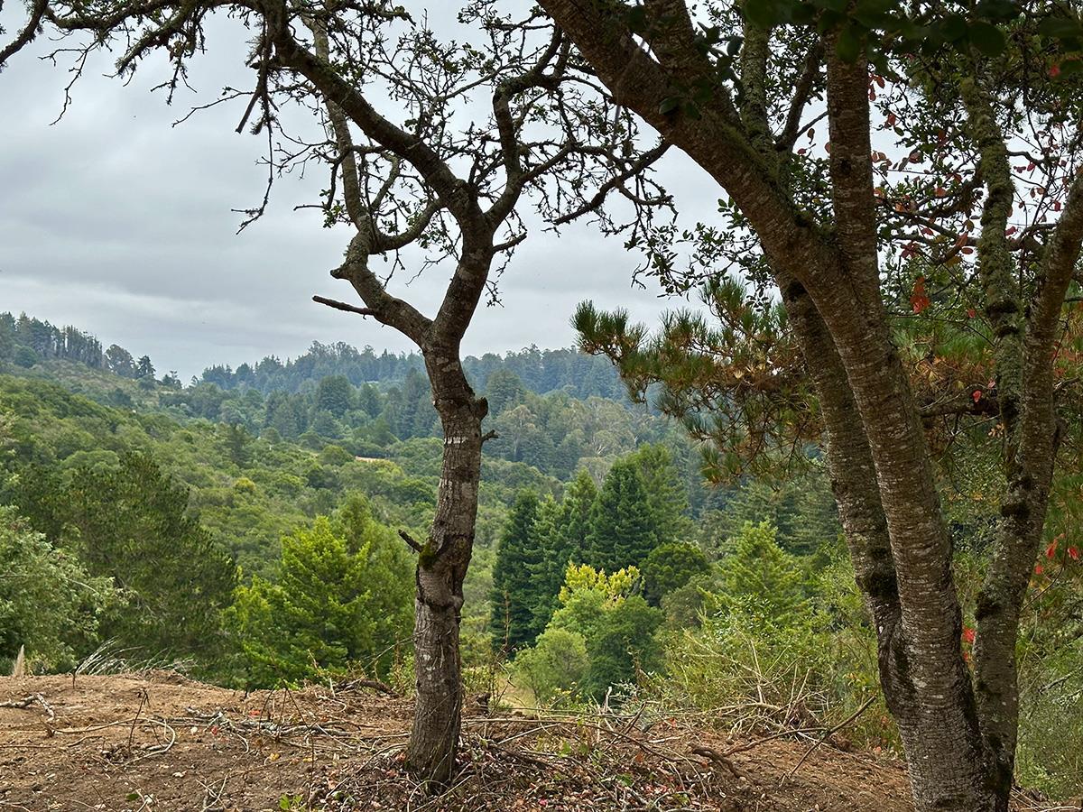 Detail Gallery Image 52 of 52 For 5601 Freedom Blvd, Aptos,  CA 95003 - – Beds | – Baths