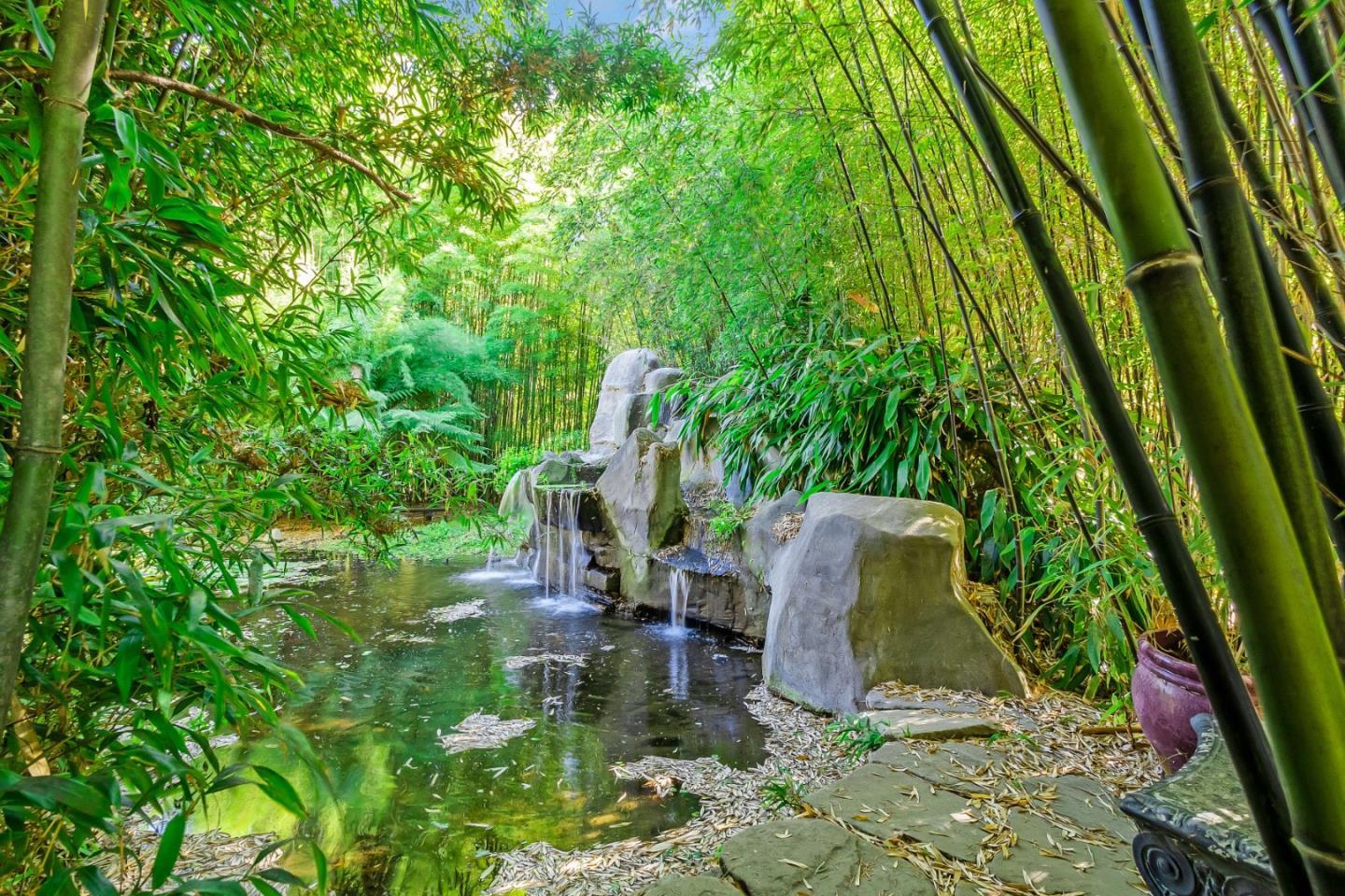 Detail Gallery Image 9 of 52 For 5601 Freedom Blvd, Aptos,  CA 95003 - – Beds | – Baths