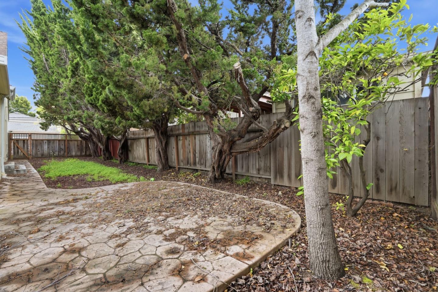 Detail Gallery Image 32 of 38 For 126 W 39th Ave, San Mateo,  CA 94403 - 3 Beds | 2 Baths