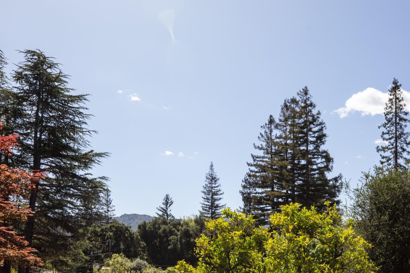 Detail Gallery Image 39 of 40 For 1250 Montclaire Way, Los Altos,  CA 94024 - 4 Beds | 3 Baths