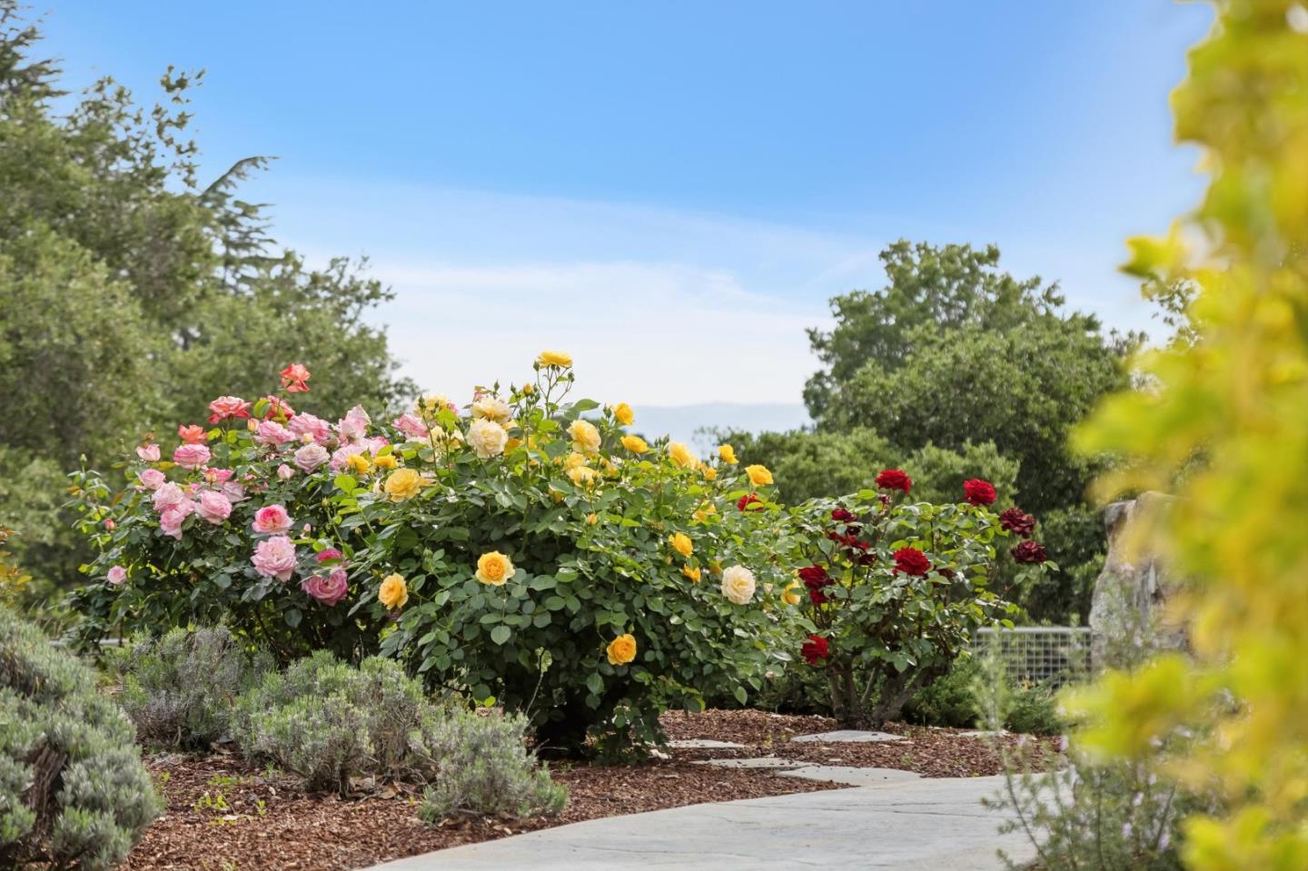 Detail Gallery Image 55 of 82 For 140 Ridgeway Rd, Woodside,  CA 94062 - 4 Beds | 3/1 Baths