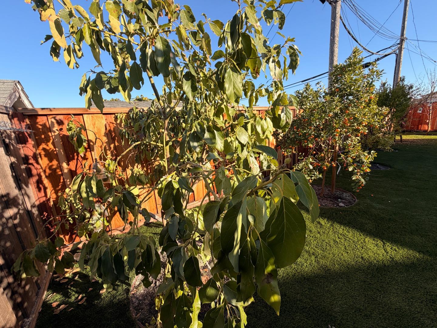 Detail Gallery Image 25 of 36 For 2121 Francis Ave, Santa Clara,  CA 95051 - 4 Beds | 3 Baths