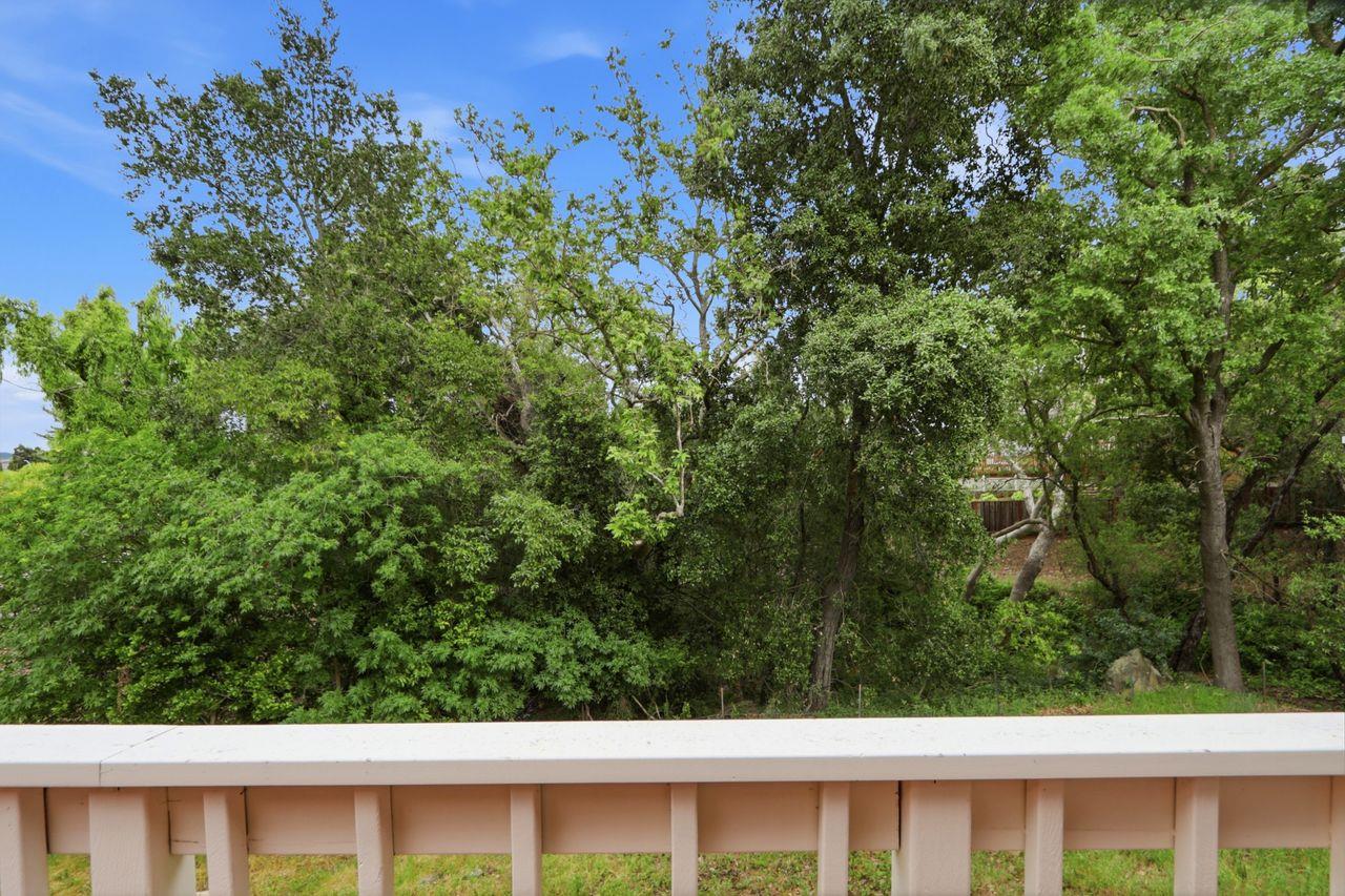 Detail Gallery Image 46 of 56 For 1212 Shelby Creek Ln, San Jose,  CA 95120 - 4 Beds | 2/1 Baths