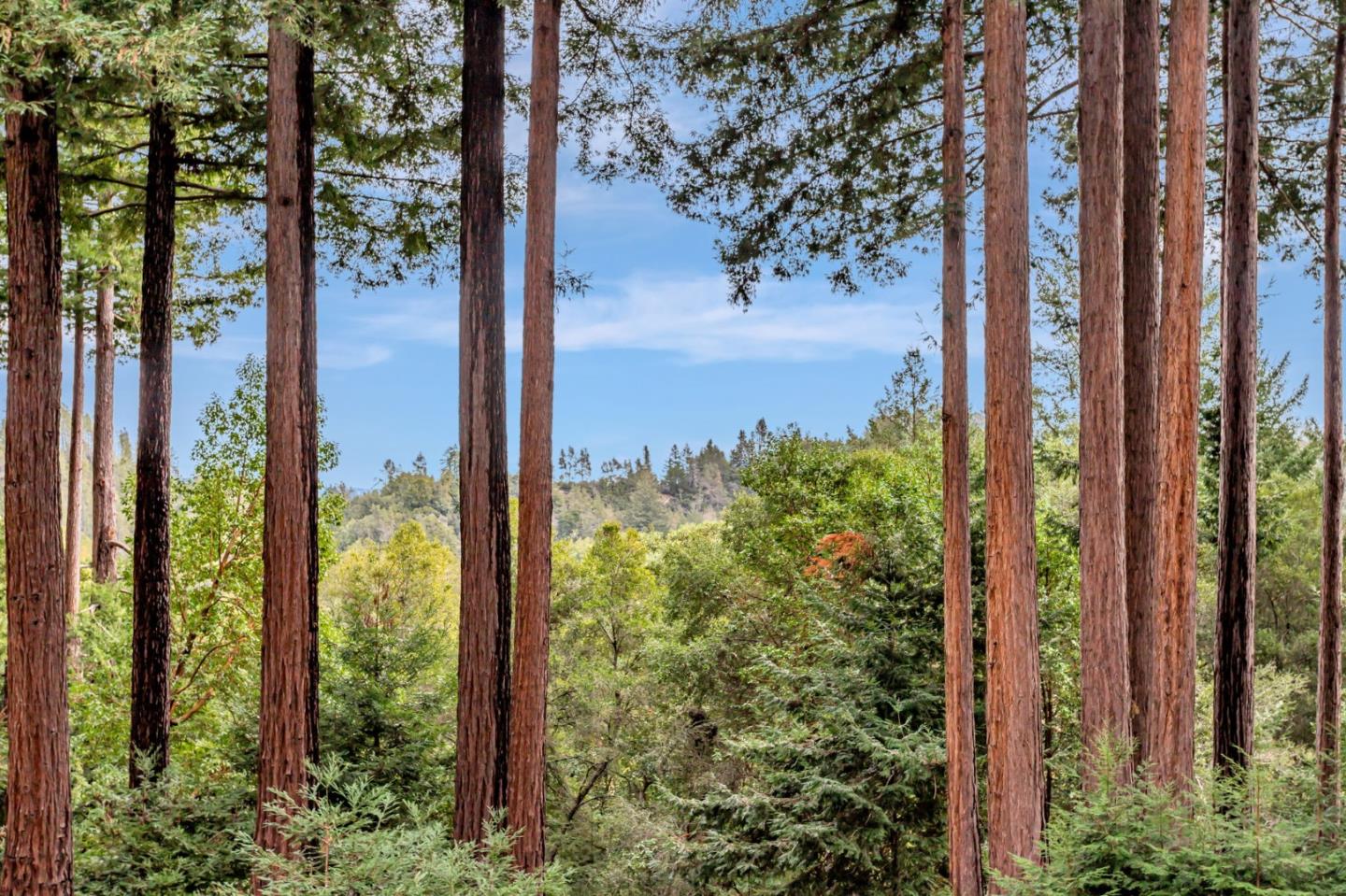 Detail Gallery Image 49 of 61 For 12845 Love Creek Rd, Ben Lomond,  CA 95005 - 1 Beds | 1 Baths