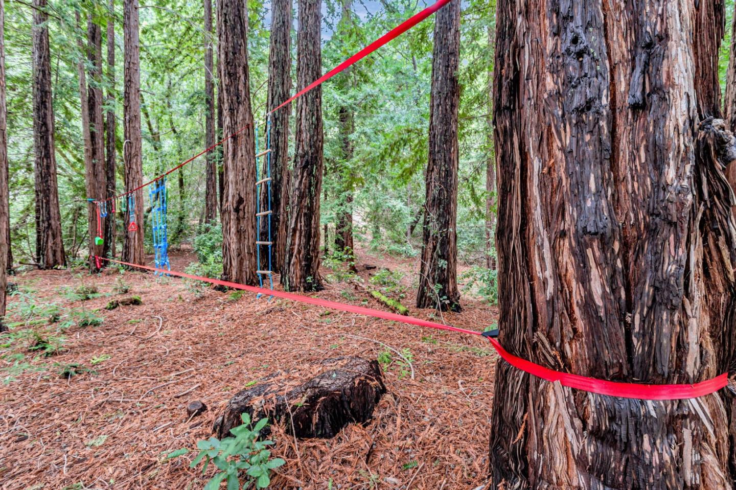 Detail Gallery Image 51 of 61 For 12845 Love Creek Rd, Ben Lomond,  CA 95005 - 1 Beds | 1 Baths