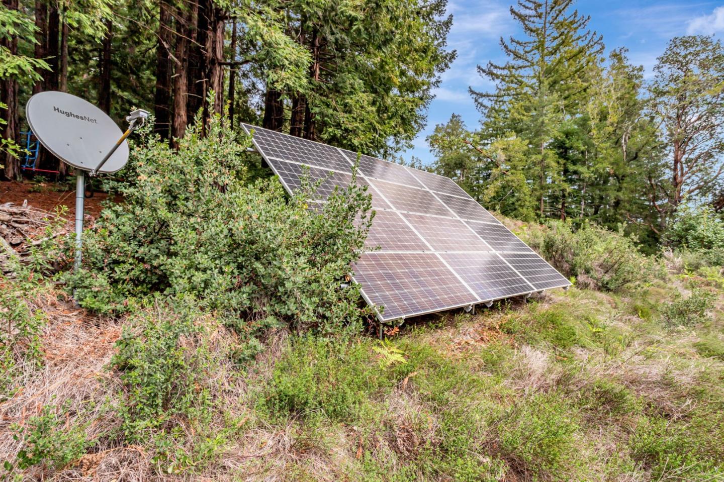 Detail Gallery Image 56 of 61 For 12845 Love Creek Rd, Ben Lomond,  CA 95005 - 1 Beds | 1 Baths