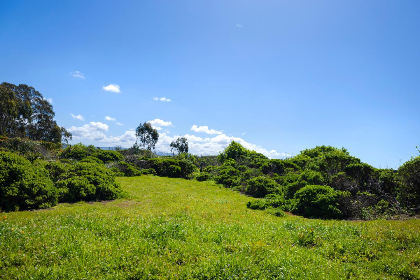 Detail Gallery Image 39 of 54 For 121 Bernal Ave, Moss Beach,  CA 94038 - 3 Beds | 2/1 Baths