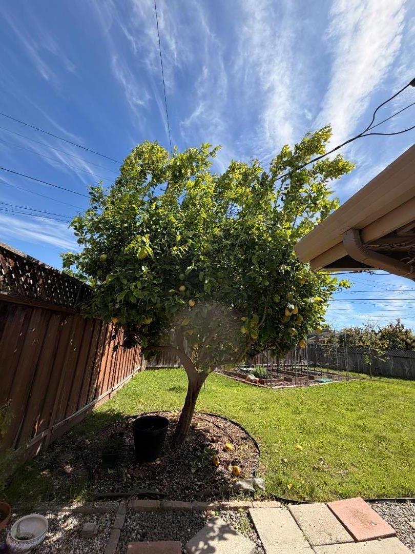 Detail Gallery Image 52 of 63 For 1130 Breezewood Ct, Sunnyvale,  CA 94089 - 4 Beds | 3 Baths