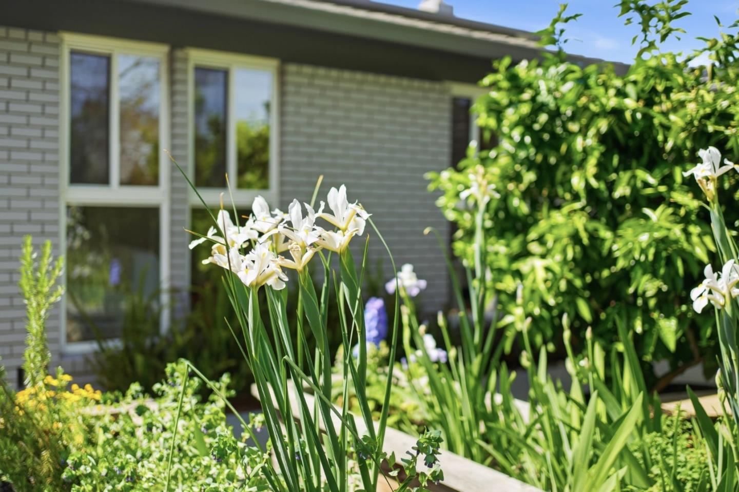 Detail Gallery Image 78 of 101 For 845 Groton Ct, Sunnyvale,  CA 94087 - 5 Beds | 3 Baths