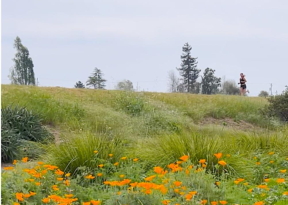 Detail Gallery Image 28 of 28 For 415 Spruce Cir, Watsonville,  CA 95076 - 2 Beds | 1 Baths