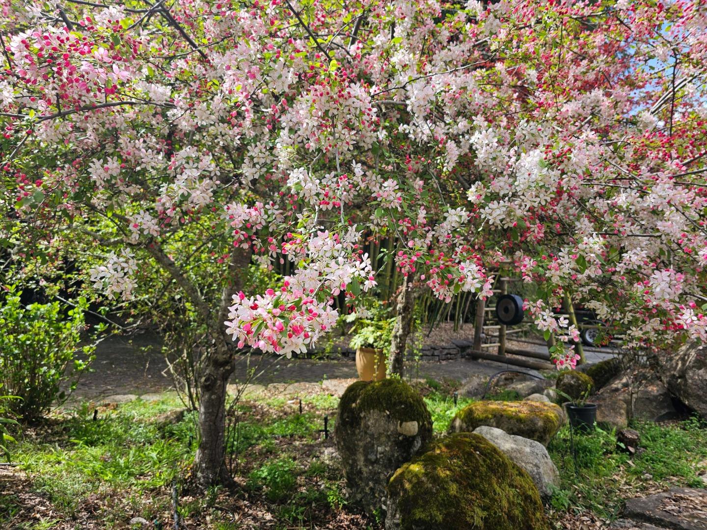 Front Image Thumbnail for ML82041532