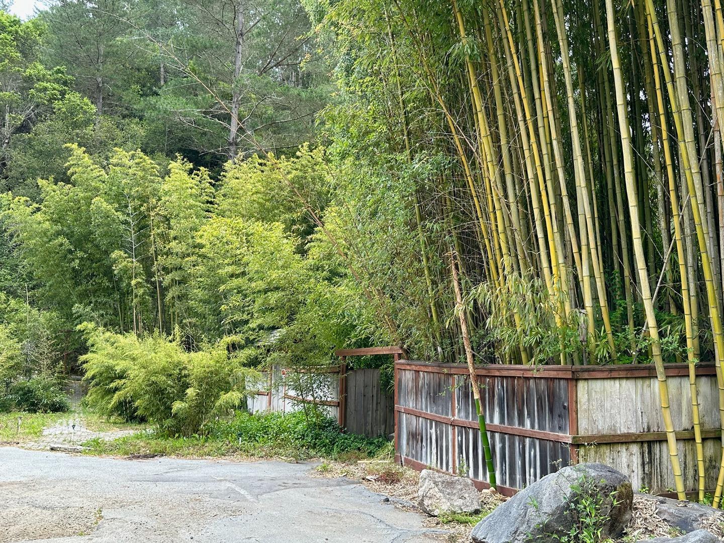 Detail Gallery Image 18 of 33 For 5601 Freedom Blvd, Aptos,  CA 95003 - – Beds | – Baths