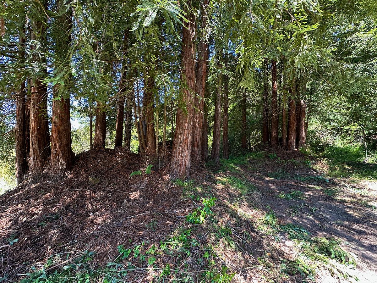 Detail Gallery Image 5 of 33 For 5601 Freedom Blvd, Aptos,  CA 95003 - – Beds | – Baths