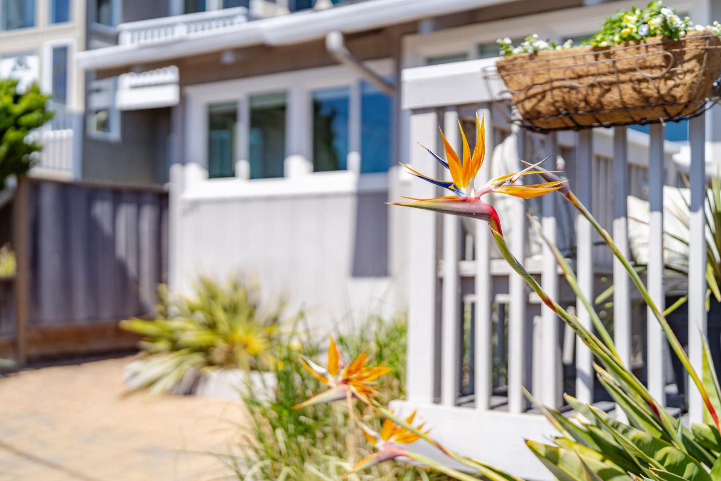 Detail Gallery Image 30 of 34 For 342 Coates Dr, Aptos,  CA 95003 - 2 Beds | 2 Baths