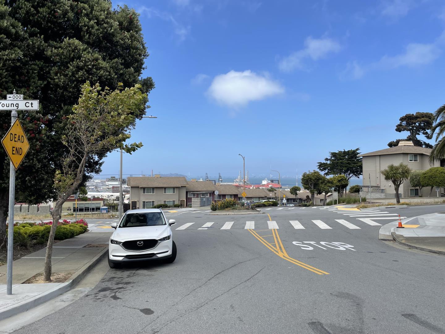 Detail Gallery Image 7 of 8 For 14 Youngs Ct, San Francisco,  CA 94124 - 3 Beds | 2 Baths