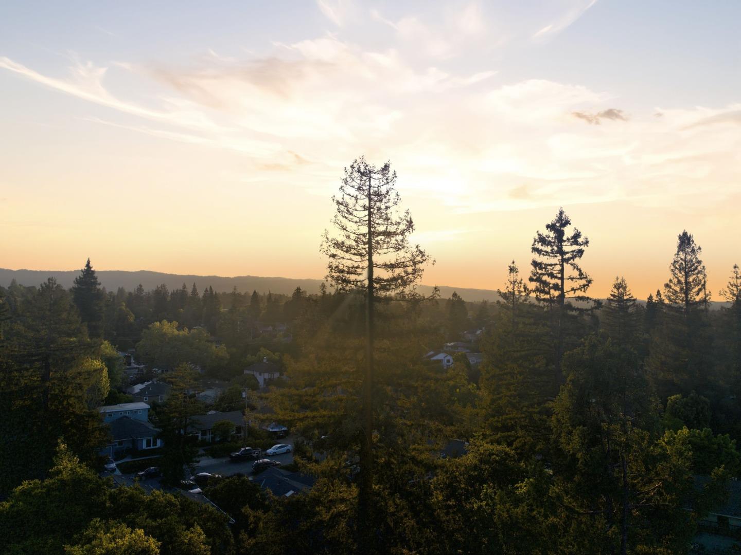 Detail Gallery Image 52 of 55 For 345 Vine St, Menlo Park,  CA 94025 - 5 Beds | 4/1 Baths