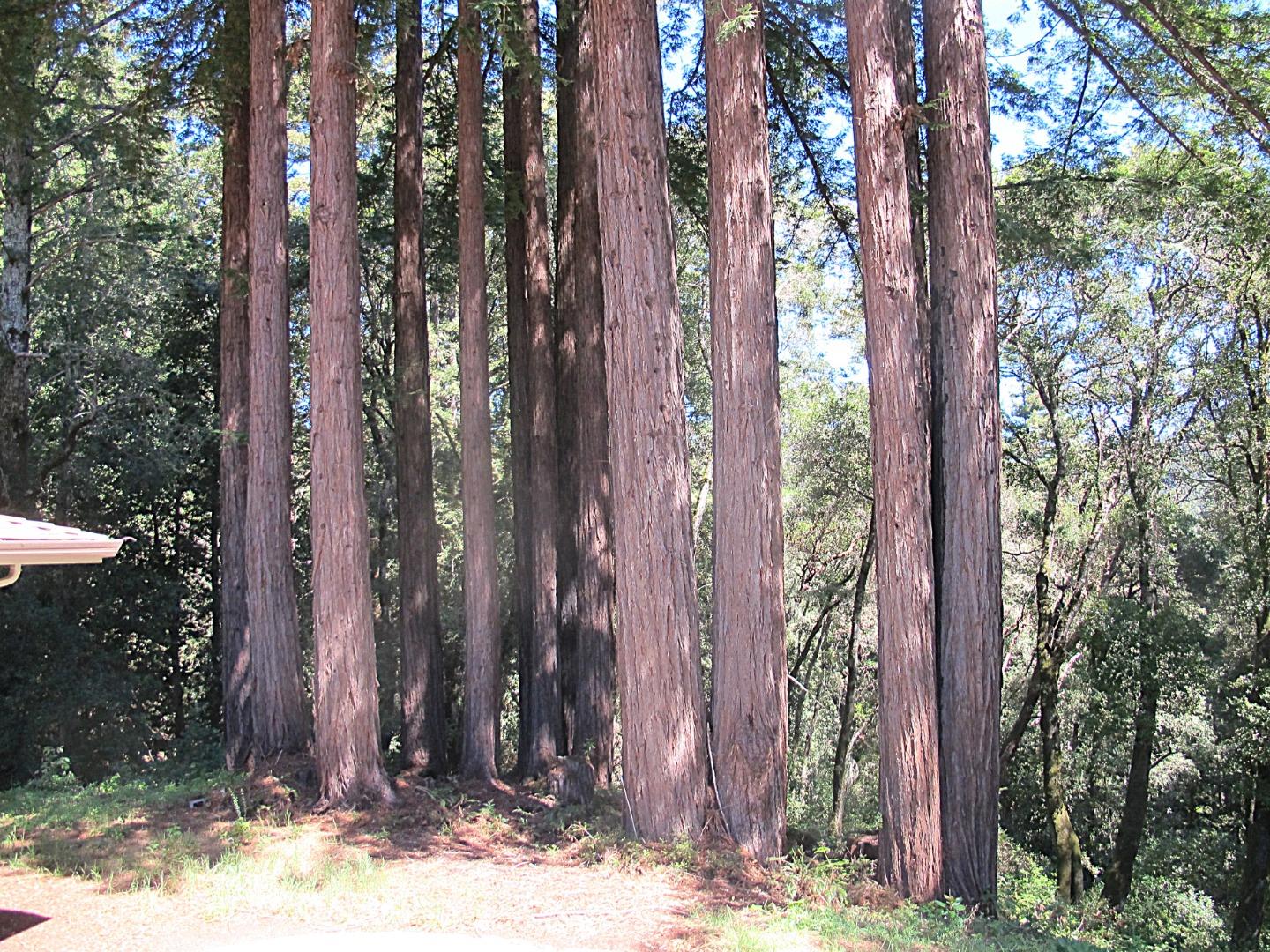 Detail Gallery Image 52 of 62 For 300 Winona Way, Aptos,  CA 95003 - 4 Beds | 2/1 Baths