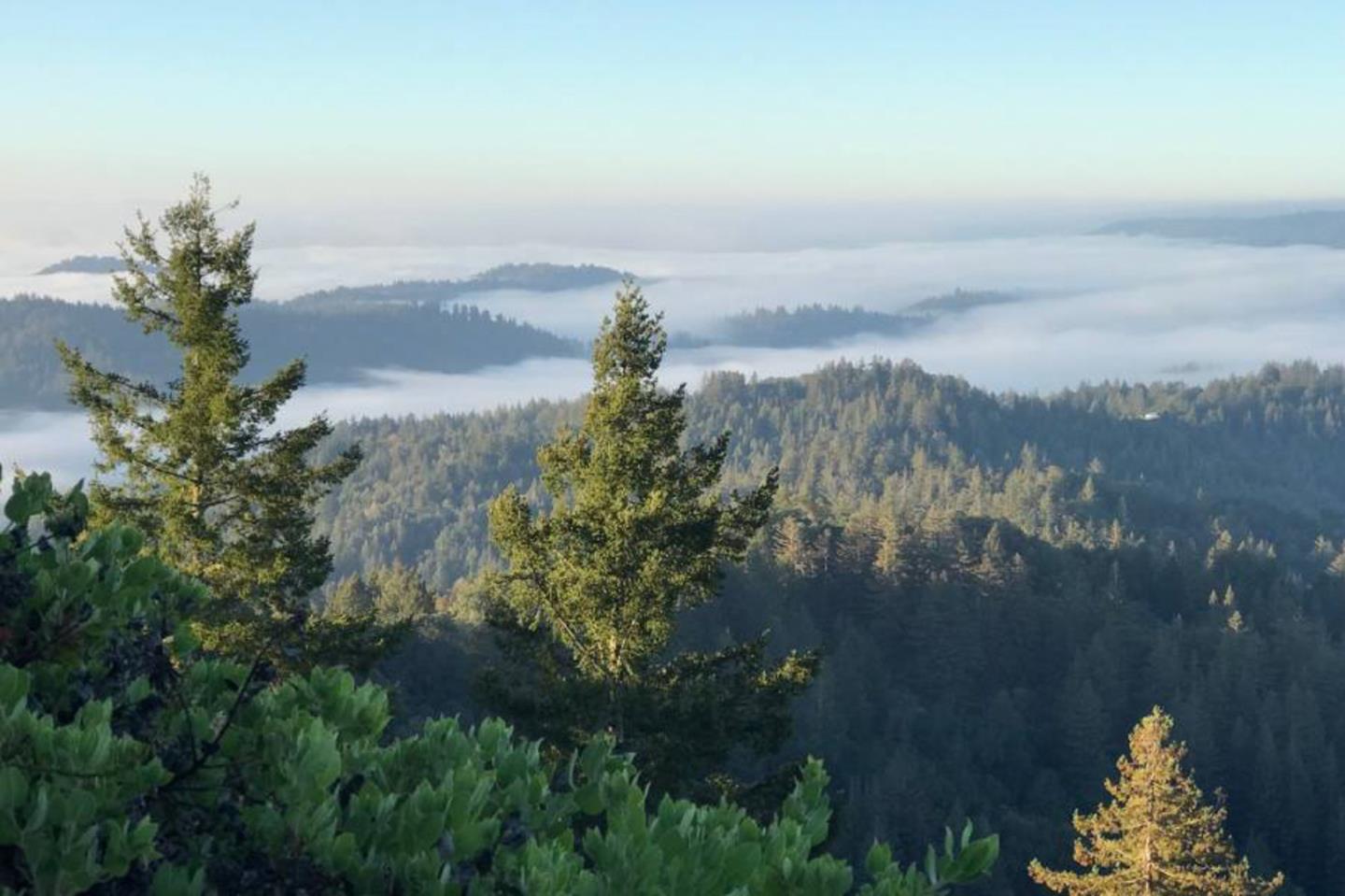 Front Image Thumbnail for ML82041587