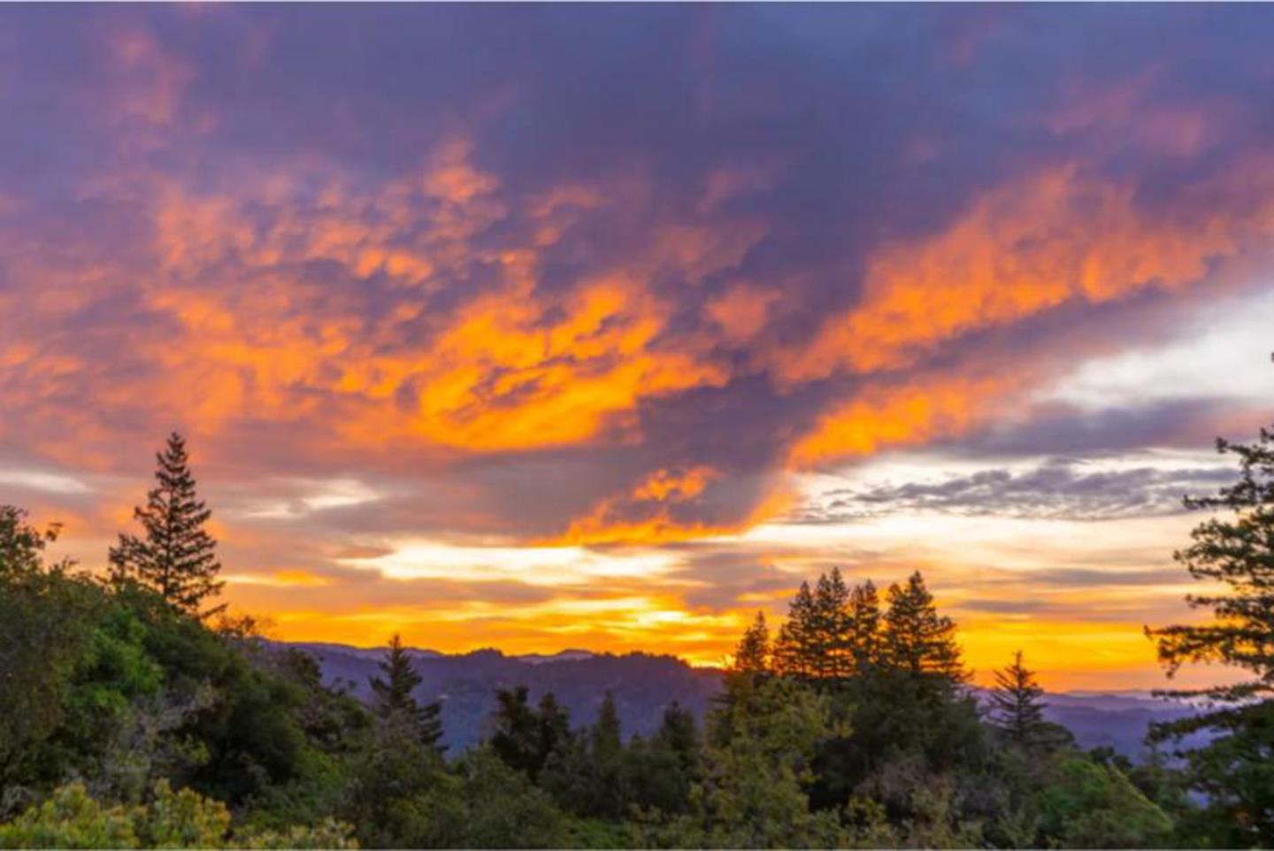 Detail Gallery Image 14 of 66 For Lot 58 Skyview Ridge Rd, Boulder Creek,  CA 95006 - – Beds | – Baths