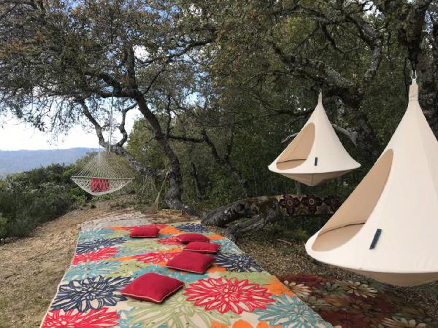 Detail Gallery Image 19 of 66 For Lot 58 Skyview Ridge Rd, Boulder Creek,  CA 95006 - – Beds | – Baths