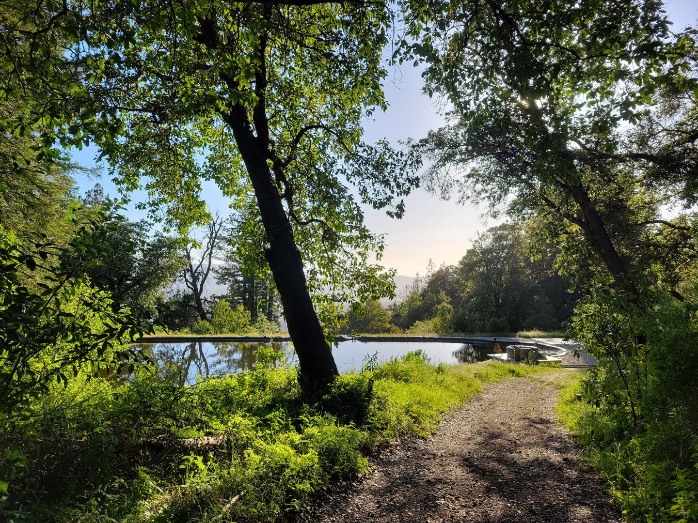 Detail Gallery Image 20 of 66 For Lot 58 Skyview Ridge Rd, Boulder Creek,  CA 95006 - – Beds | – Baths