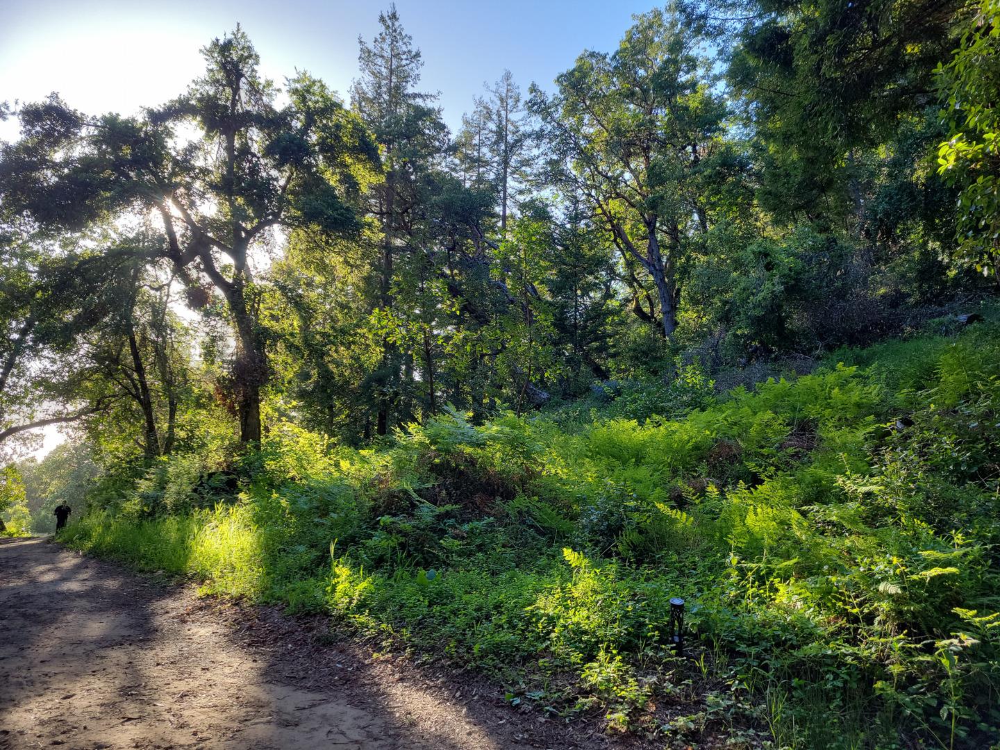 Detail Gallery Image 44 of 66 For Lot 58 Skyview Ridge Rd, Boulder Creek,  CA 95006 - – Beds | – Baths