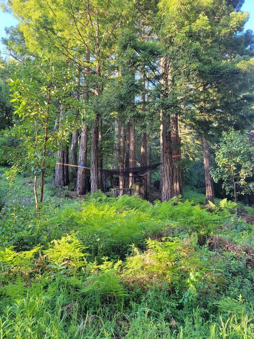 Detail Gallery Image 45 of 66 For Lot 58 Skyview Ridge Rd, Boulder Creek,  CA 95006 - – Beds | – Baths