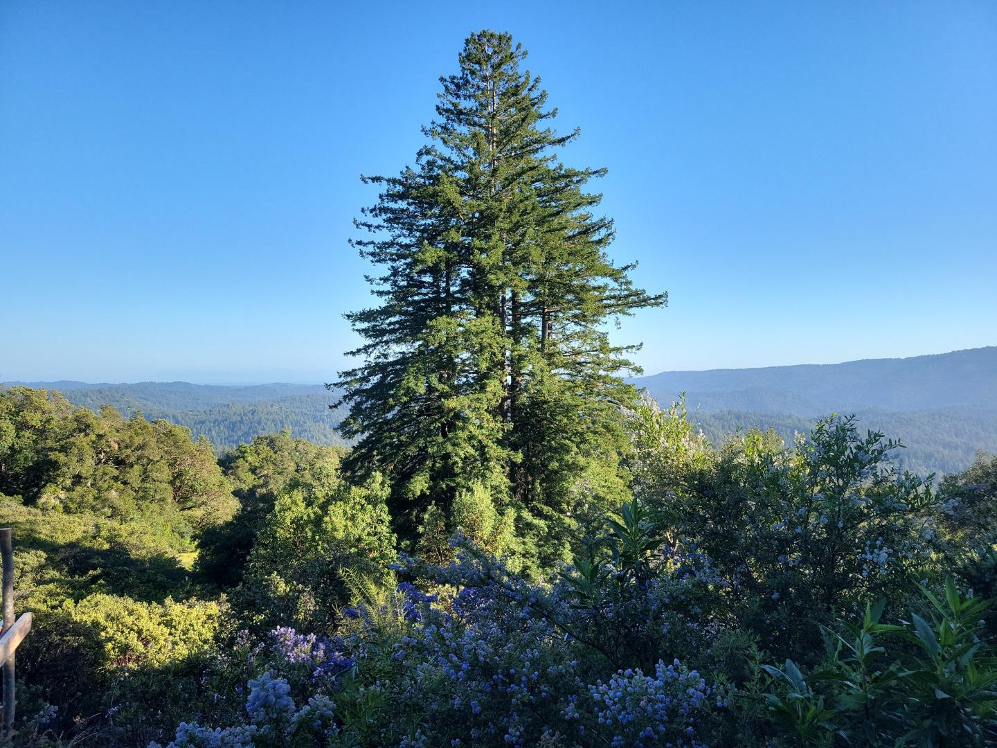 Detail Gallery Image 46 of 66 For Lot 58 Skyview Ridge Rd, Boulder Creek,  CA 95006 - – Beds | – Baths