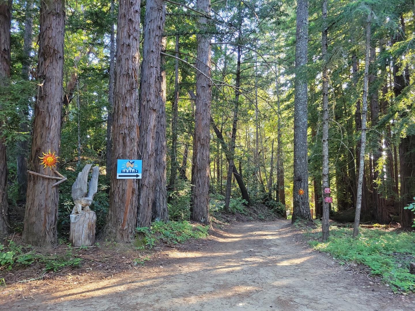 Detail Gallery Image 47 of 66 For Lot 58 Skyview Ridge Rd, Boulder Creek,  CA 95006 - – Beds | – Baths