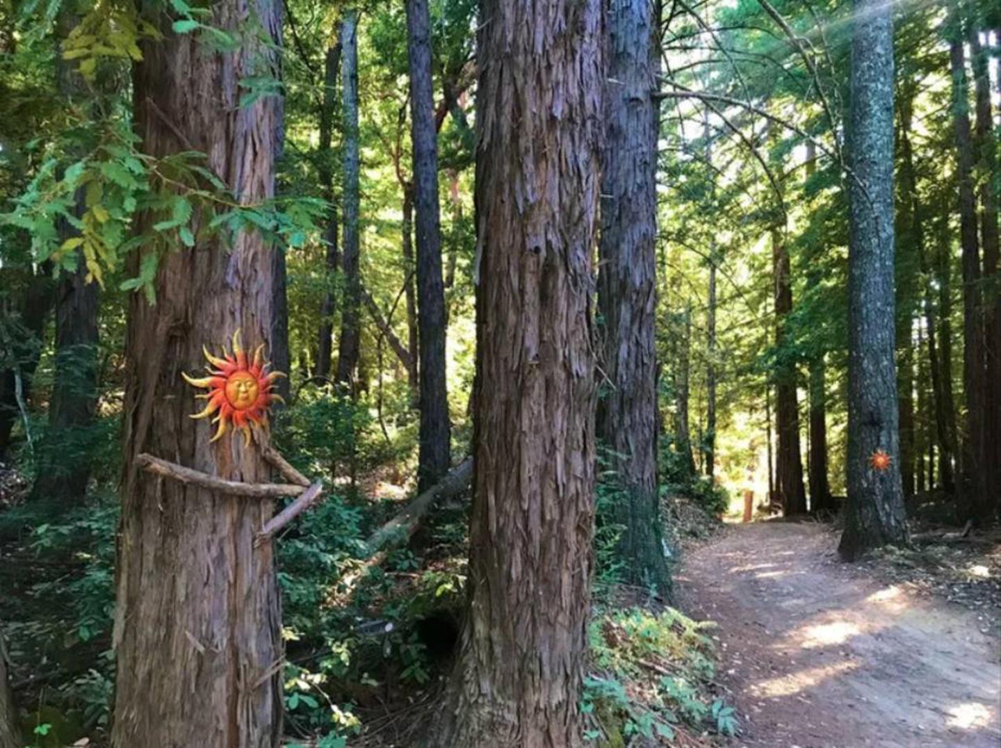 Detail Gallery Image 48 of 66 For Lot 58 Skyview Ridge Rd, Boulder Creek,  CA 95006 - – Beds | – Baths