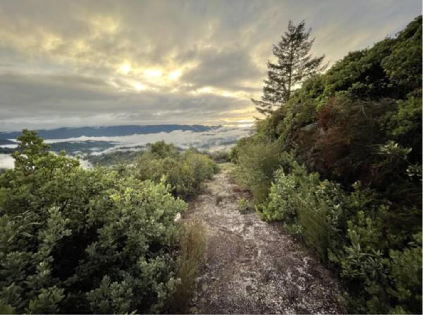 Detail Gallery Image 49 of 66 For Lot 58 Skyview Ridge Rd, Boulder Creek,  CA 95006 - – Beds | – Baths