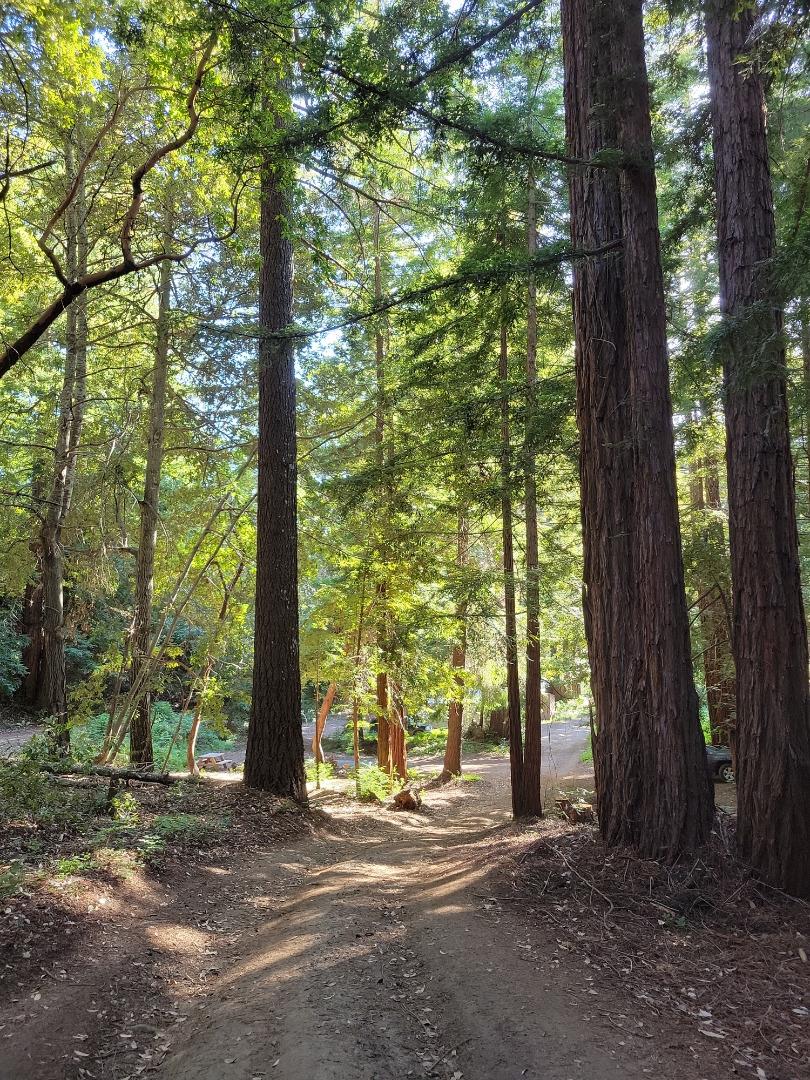 Detail Gallery Image 50 of 66 For Lot 58 Skyview Ridge Rd, Boulder Creek,  CA 95006 - – Beds | – Baths