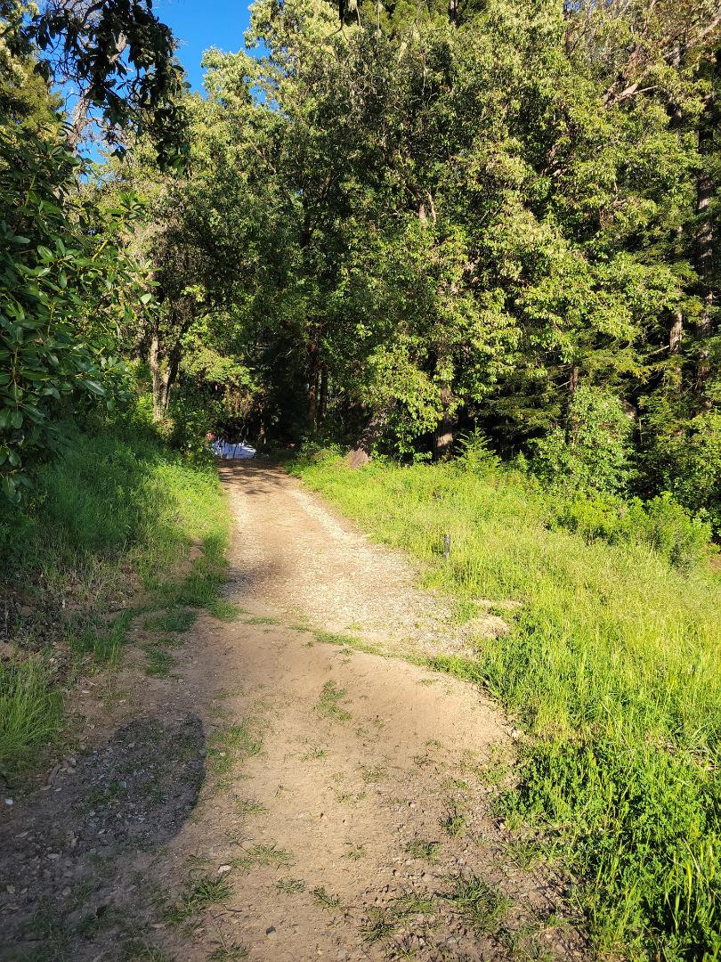 Detail Gallery Image 51 of 66 For Lot 58 Skyview Ridge Rd, Boulder Creek,  CA 95006 - – Beds | – Baths