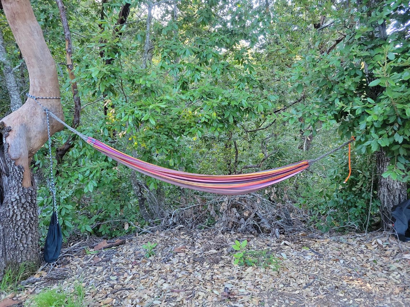 Detail Gallery Image 55 of 66 For Lot 58 Skyview Ridge Rd, Boulder Creek,  CA 95006 - – Beds | – Baths