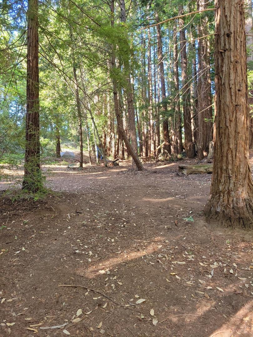 Detail Gallery Image 58 of 66 For Lot 58 Skyview Ridge Rd, Boulder Creek,  CA 95006 - – Beds | – Baths