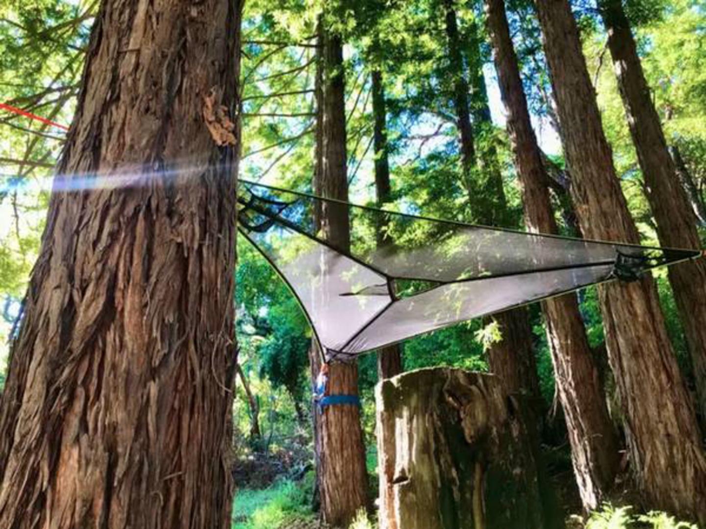 Detail Gallery Image 59 of 66 For Lot 58 Skyview Ridge Rd, Boulder Creek,  CA 95006 - – Beds | – Baths