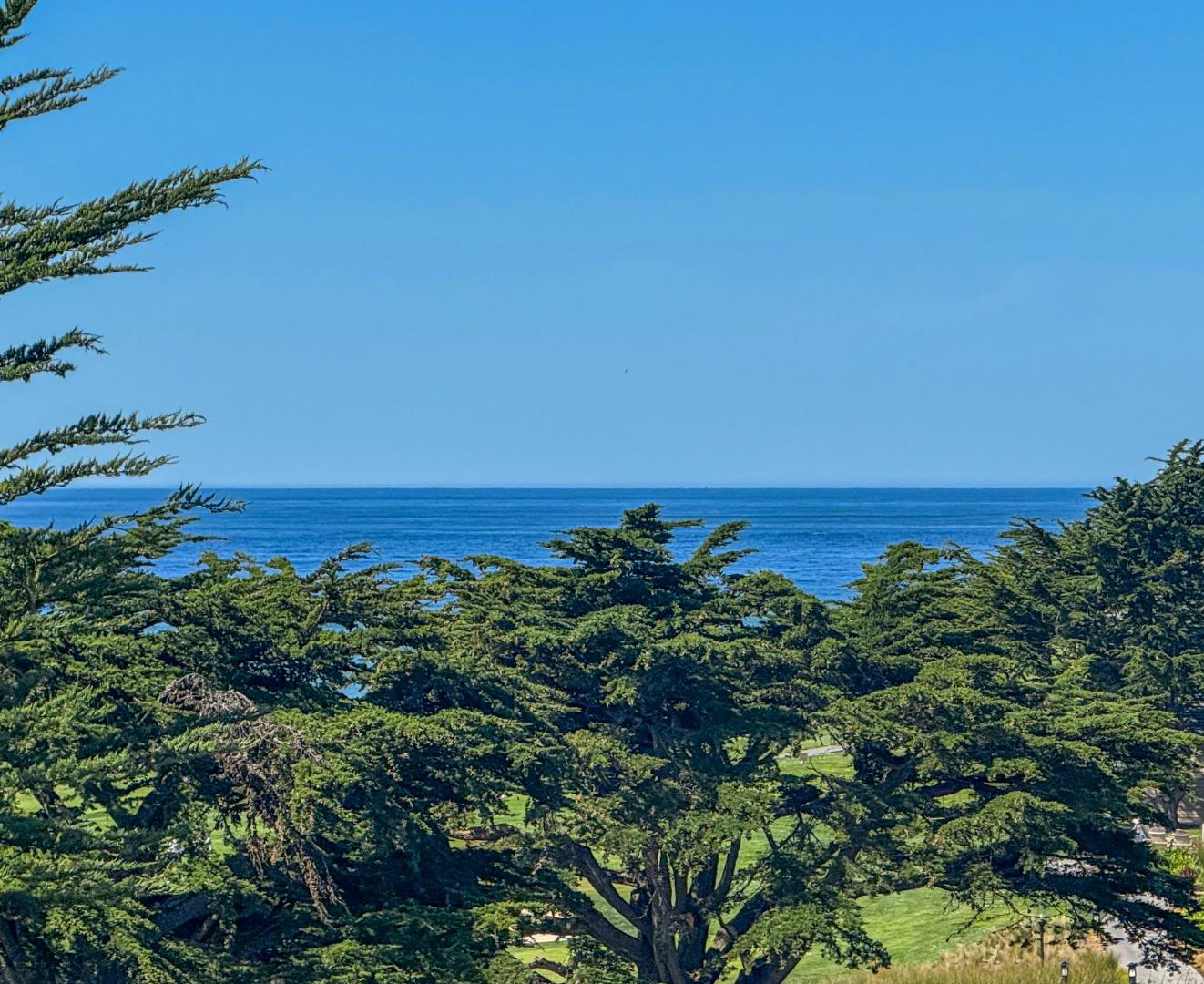 Detail Gallery Image 37 of 48 For 17 Ashdown Pl, Half Moon Bay,  CA 94019 - 4 Beds | 3/1 Baths