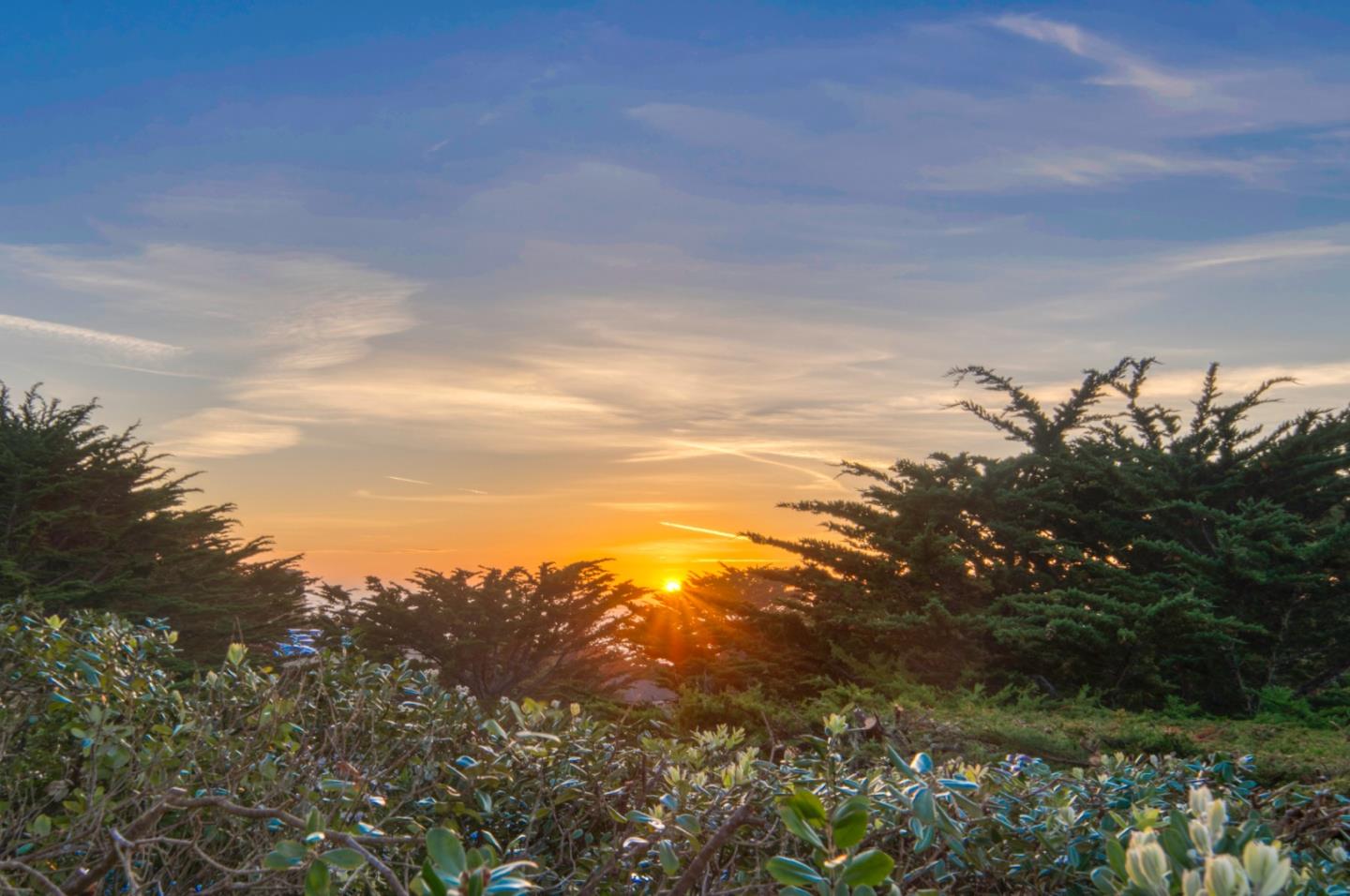 Detail Gallery Image 39 of 48 For 17 Ashdown Pl, Half Moon Bay,  CA 94019 - 4 Beds | 3/1 Baths