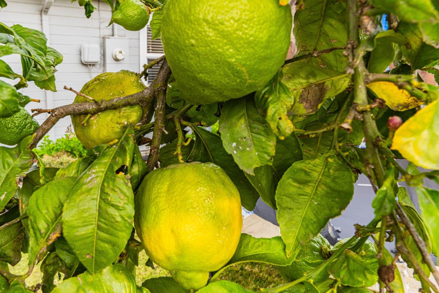 Detail Gallery Image 31 of 33 For Reata St, Salinas,  CA 93906 - 2 Beds | 1 Baths