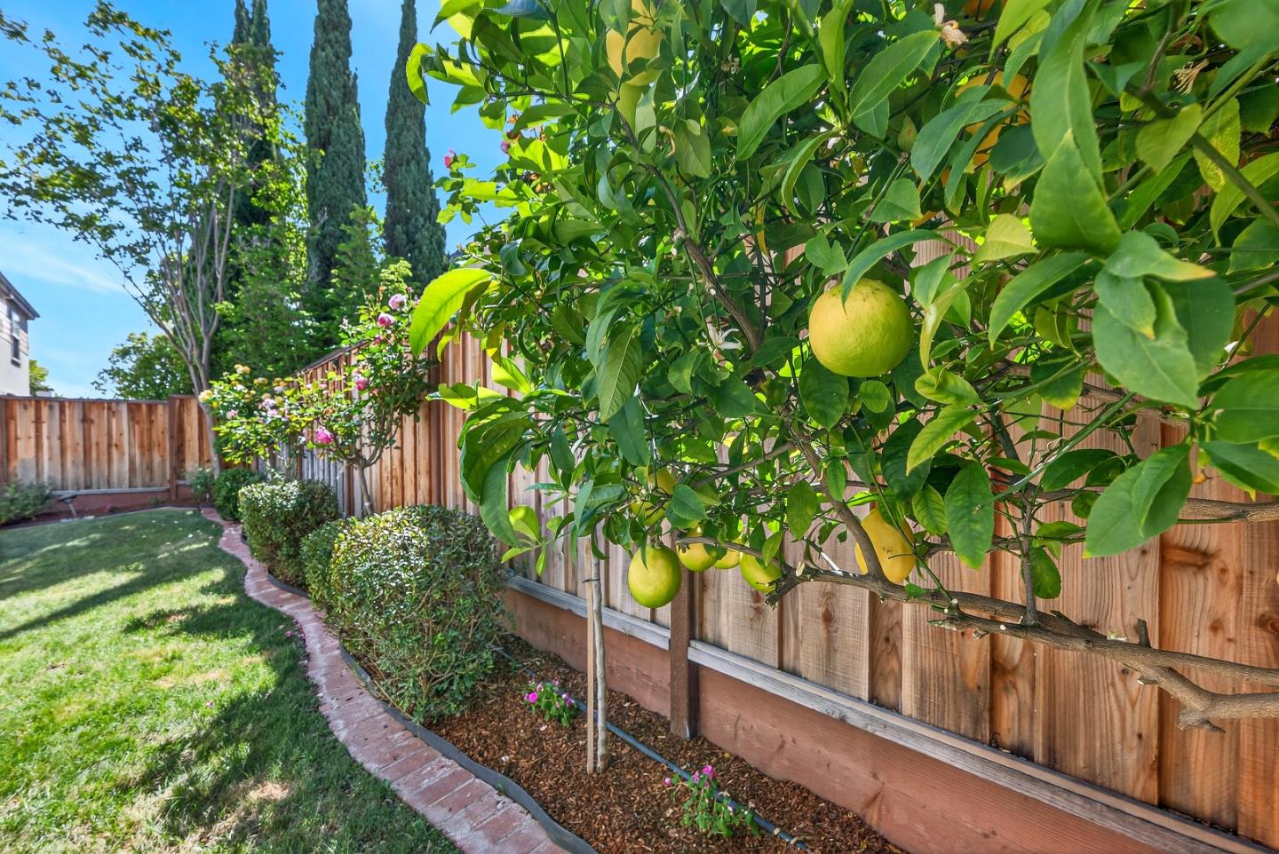 Detail Gallery Image 34 of 35 For 225 W Ferndale Ave, Sunnyvale,  CA 94085 - 3 Beds | 2/1 Baths