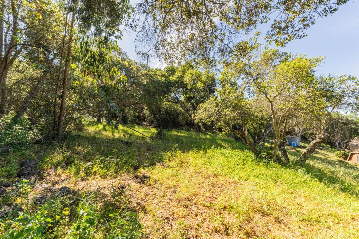 Detail Gallery Image 6 of 15 For 6959 Valle Pacifico Rd, Salinas,  CA 93907 - 3 Beds | 2 Baths