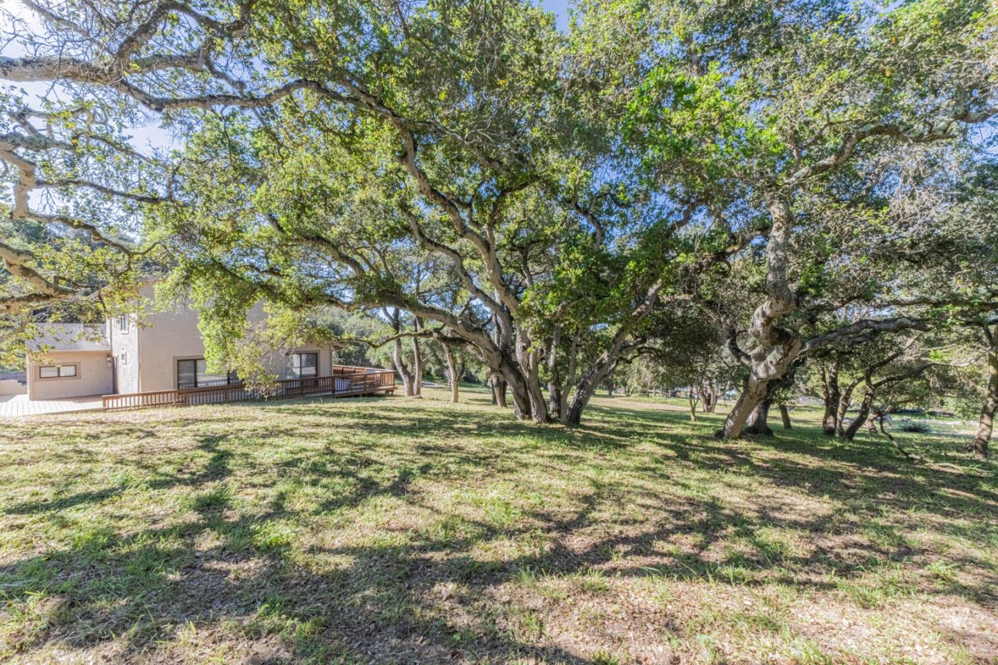 Detail Gallery Image 7 of 15 For 6959 Valle Pacifico Rd, Salinas,  CA 93907 - 3 Beds | 2 Baths