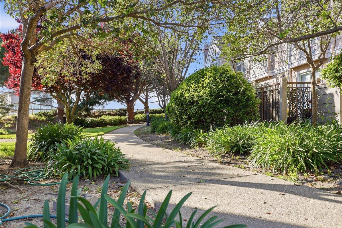 Photo #40: ML82041638 Listing: Photo #40