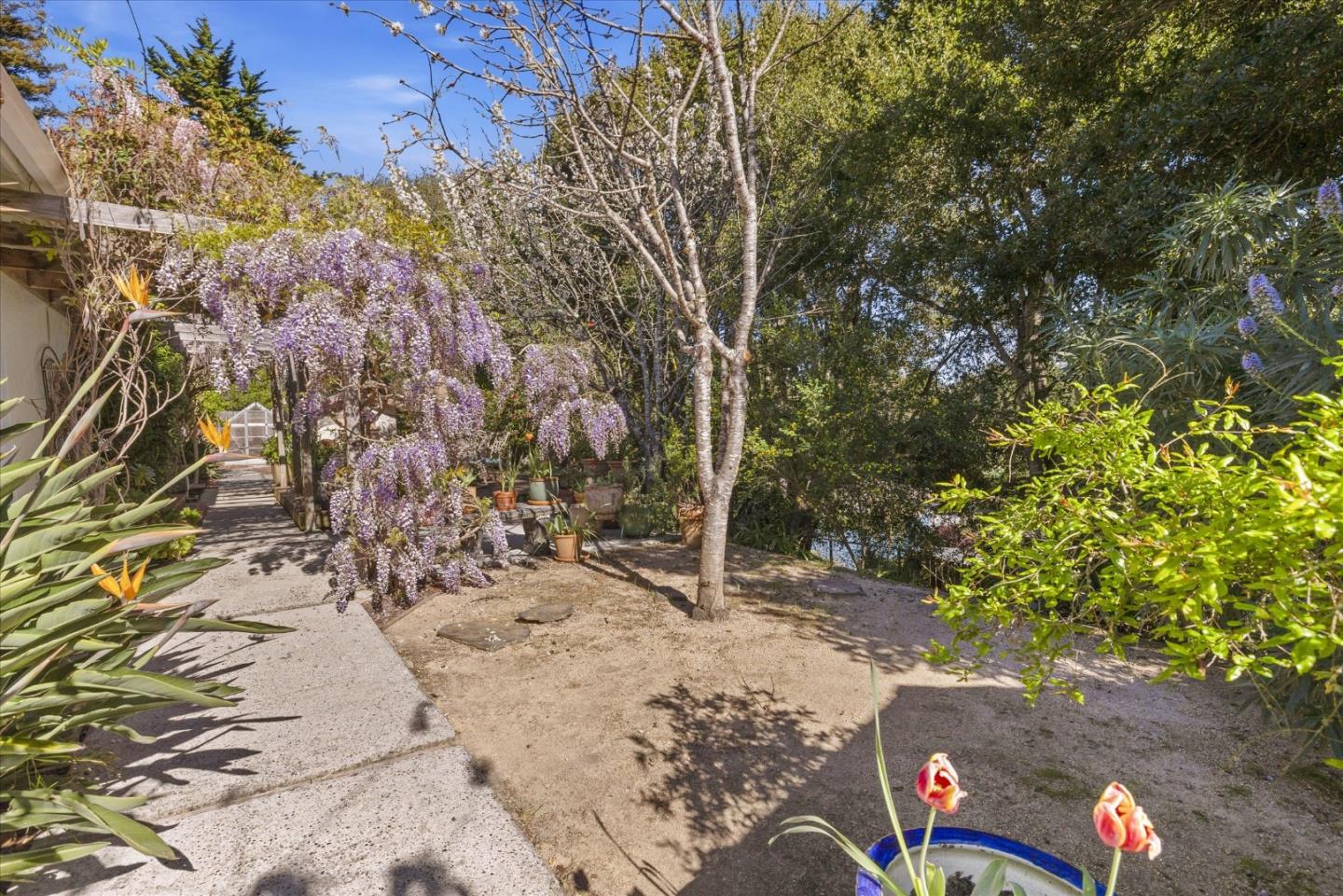 Detail Gallery Image 23 of 27 For 224 Sierra Vista Ct, Aptos,  CA 95003 - 3 Beds | 2 Baths