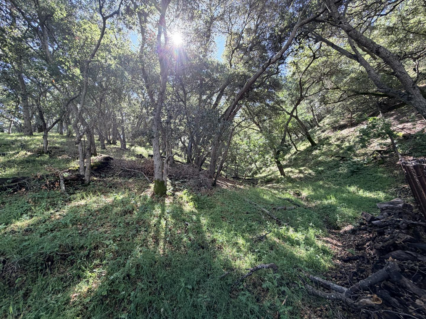 Detail Gallery Image 106 of 109 For 1880 Hollyhock Ln, Gilroy,  CA 95020 - 4 Beds | 3/1 Baths