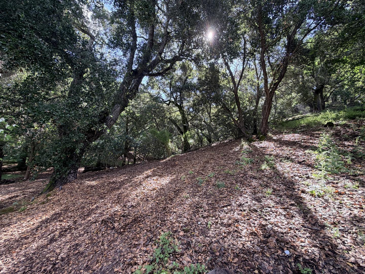 Detail Gallery Image 107 of 109 For 1880 Hollyhock Ln, Gilroy,  CA 95020 - 4 Beds | 3/1 Baths