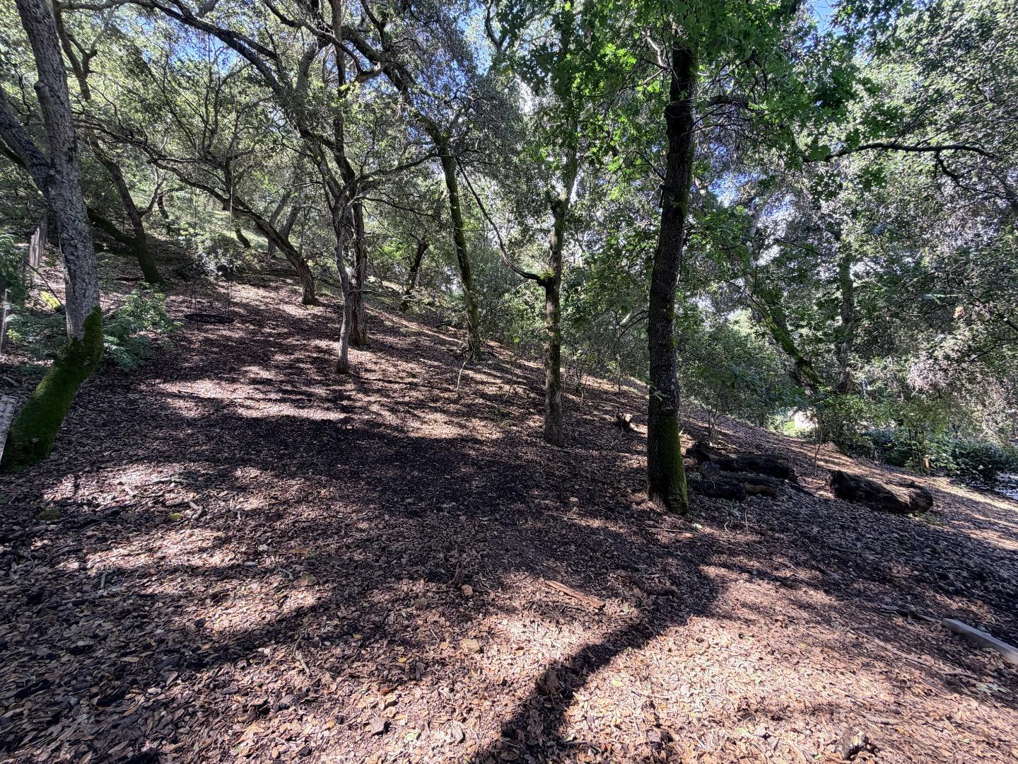 Detail Gallery Image 108 of 109 For 1880 Hollyhock Ln, Gilroy,  CA 95020 - 4 Beds | 3/1 Baths