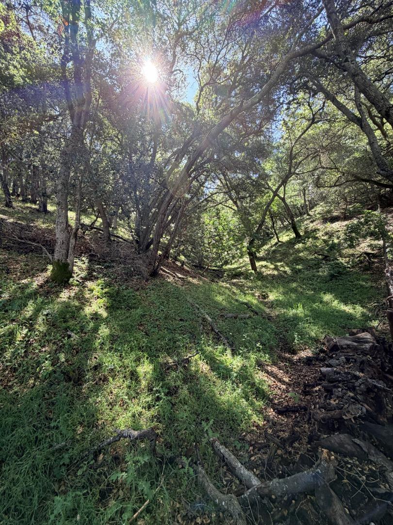 Detail Gallery Image 109 of 109 For 1880 Hollyhock Ln, Gilroy,  CA 95020 - 4 Beds | 3/1 Baths