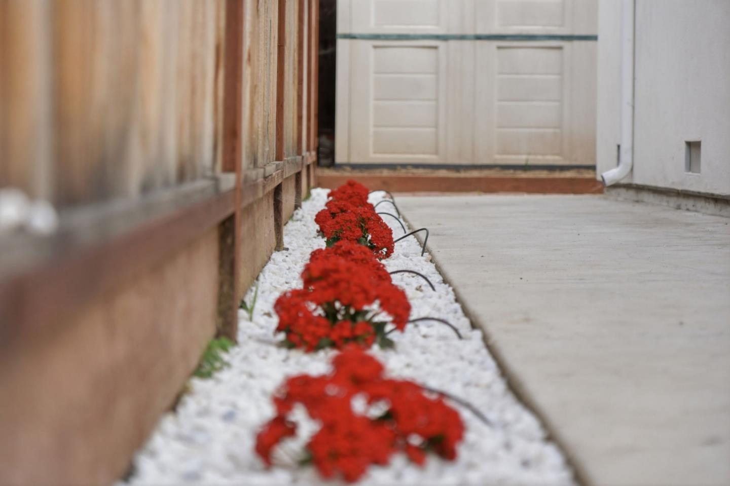 Detail Gallery Image 53 of 57 For 4556 Harwood Rd, San Jose,  CA 95124 - 6 Beds | 4 Baths